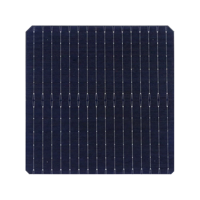 182 P-type Monocrystalline PERC Bifacial Cell