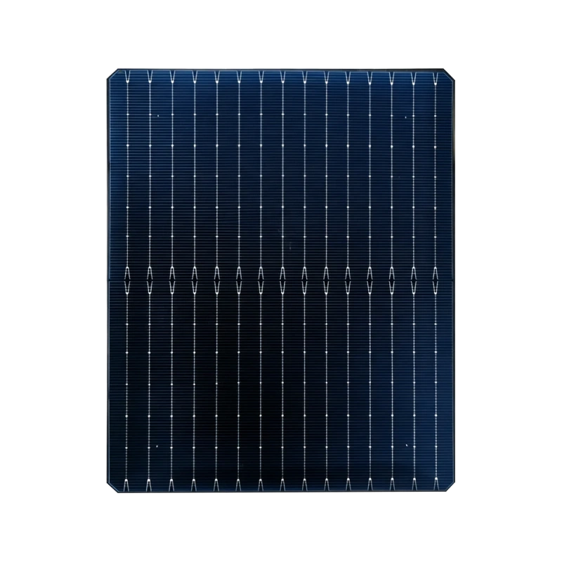 210R N-type Monocrystalline TOPCon Bifacial Cell