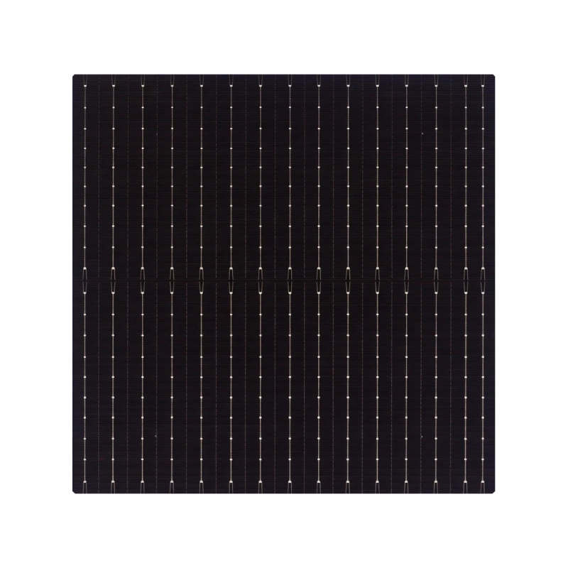 210R N-type Monocrystalline TOPCon Bifacial Cell